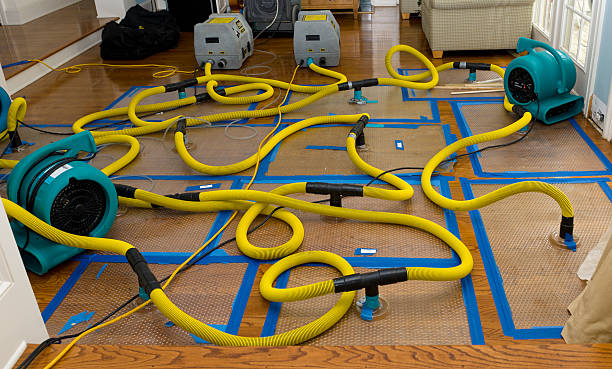 Professional Basement Flood Cleanup technician working in Senoia, GA